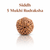 Kashi Siddh Nepal Origin 5 Mukhi Rudraksha - 17mm to 22mm