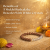 5 Mukhi Rudraksha Bracelet With White Crystals