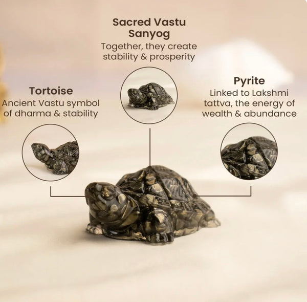 Pyrite Bracelet + Pyrite Tortoise Combo