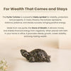 Pyrite Bracelet + Pyrite Tortoise Combo