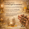 Divya Raksha Rudraksha & Karungali Mala with Silver Capping