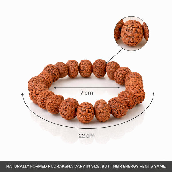 7 Mukhi Rudraksha Bracelet